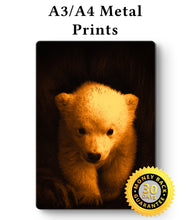 Load image into Gallery viewer, Bear Cub Picture - Metal Poster Print Bear Art