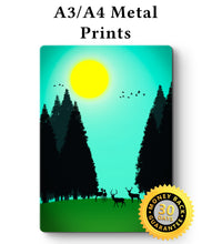Load image into Gallery viewer, Forest Picture - Metal Poster Print Forest Art