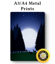 Load image into Gallery viewer, Forest Picture At Night - Metal Poster Print Forest Art