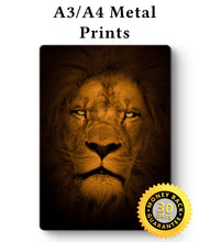 Load image into Gallery viewer, Lion Picture - Wall Art - Metal Poster Lion Print