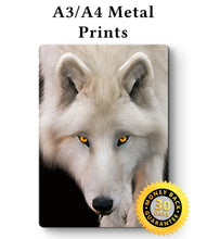 Load image into Gallery viewer, White Wolf Portrait Metal Poster Print