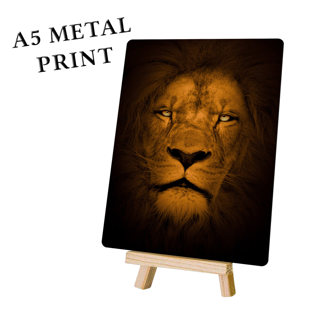 Lion Picture - Wall Art - Metal Poster Lion Print
