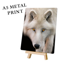 Load image into Gallery viewer, White Wolf Portrait Metal Poster Print