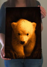 Load image into Gallery viewer, Bear Cub Picture - Metal Poster Print Bear Art