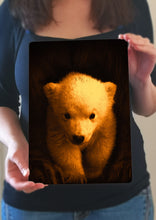 Load image into Gallery viewer, Bear Cub Picture - Metal Poster Print Bear Art