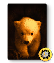 Load image into Gallery viewer, Bear Cub Picture - Metal Poster Print Bear Art
