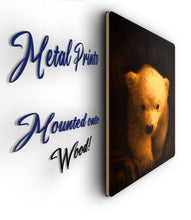 Load image into Gallery viewer, Bear Cub Picture - Metal Poster Print Bear Art