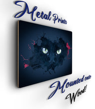 Load image into Gallery viewer, Cat Picture - Wall Art - Metal Poster Print