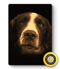 Load image into Gallery viewer, Springer Spaniel Portrait Metal Poster Print