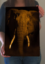 Load image into Gallery viewer, Elephant Art - Wall Art - Elephant Head Metal Poster Print