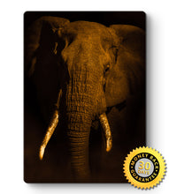 Load image into Gallery viewer, Elephant Art - Wall Art - Elephant Head Metal Poster Print