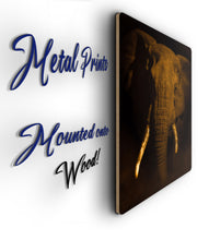 Load image into Gallery viewer, Elephant Art - Wall Art - Elephant Head Metal Poster Print