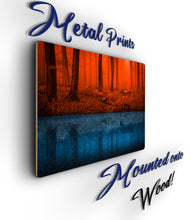 Load image into Gallery viewer, Forest/Seasons Metal Poster Print