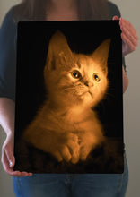 Load image into Gallery viewer, Kitten Picture - Metal Poster Print Wall Art