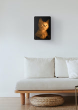 Load image into Gallery viewer, Kitten Picture - Metal Poster Print Wall Art