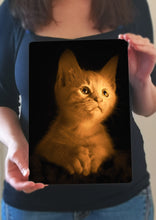 Load image into Gallery viewer, Kitten Picture - Metal Poster Print Wall Art