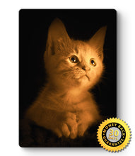 Load image into Gallery viewer, Kitten Picture - Metal Poster Print Wall Art