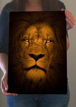 Load image into Gallery viewer, Lion Picture - Wall Art - Metal Poster Lion Print