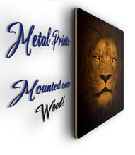 Load image into Gallery viewer, Lion Picture - Wall Art - Metal Poster Lion Print
