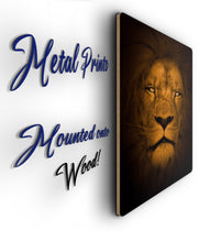 Load image into Gallery viewer, Lion Picture - Wall Art - Metal Poster Lion Print