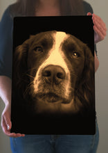 Load image into Gallery viewer, Springer Spaniel Portrait Metal Poster Print