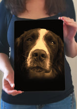 Load image into Gallery viewer, Springer Spaniel Portrait Metal Poster Print