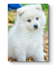 Load image into Gallery viewer, Personalised Photo Gift & Luxury Gift Box - A4 METAL Print - Birthday, Father's Day, Christmas - Better Quality Than Personalised Canvas Prints!