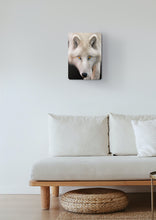 Load image into Gallery viewer, White Wolf Portrait Metal Poster Print
