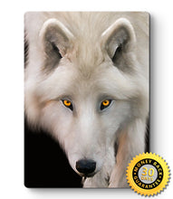 Load image into Gallery viewer, White Wolf Portrait Metal Poster Print