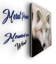 Load image into Gallery viewer, White Wolf Portrait Metal Poster Print