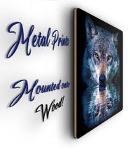 Load image into Gallery viewer, Wolf Wall Art - Reflection Metal Poster Print