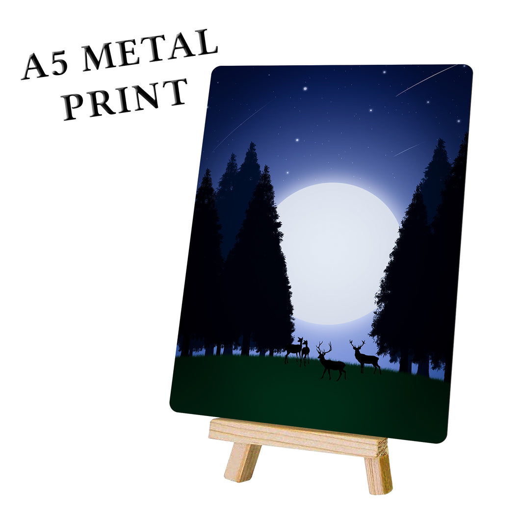 Forest Picture At Night - Metal Poster Print Forest Art