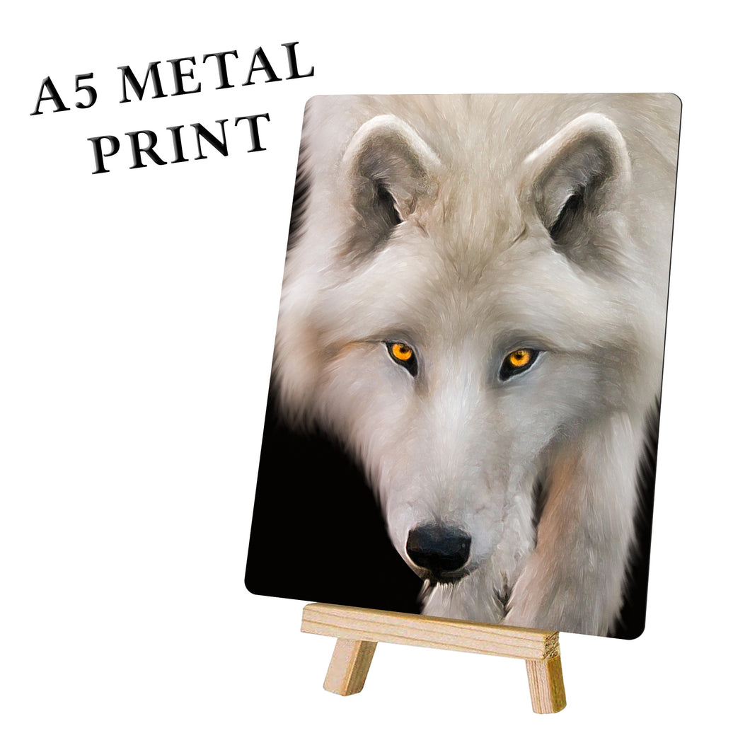 White Wolf Portrait Metal Poster Print