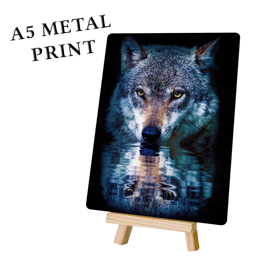 Wolf Wall Art - Reflection Metal Poster Print