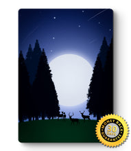 Load image into Gallery viewer, Forest Picture At Night - Metal Poster Print Forest Art
