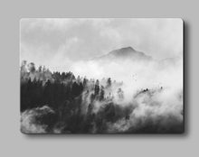 Load image into Gallery viewer, Foggy Forest Picture - Forest Wall Art - Metal Poster Print
