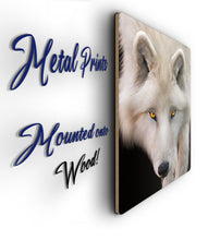 Load image into Gallery viewer, White Wolf Portrait Metal Poster Print
